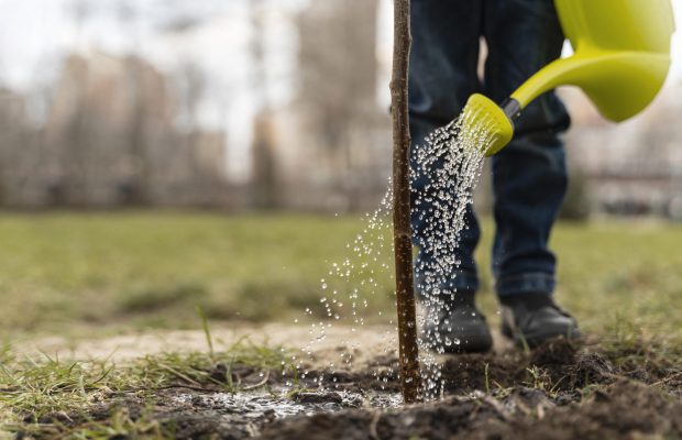 child-learning-how-plant-tree